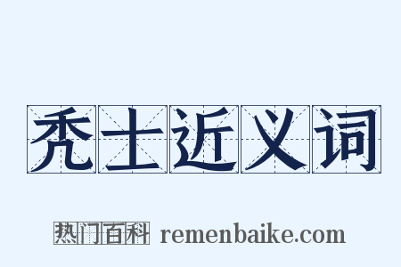 秃士近义词是什么意思的图片